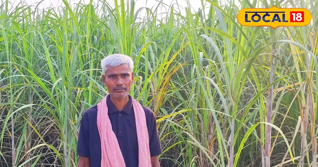 30 साल से सब्जी उगा रहा था किसान... फिर शुरू की इस फसल की खेती, अब हो गई तीन गुना आमदनी