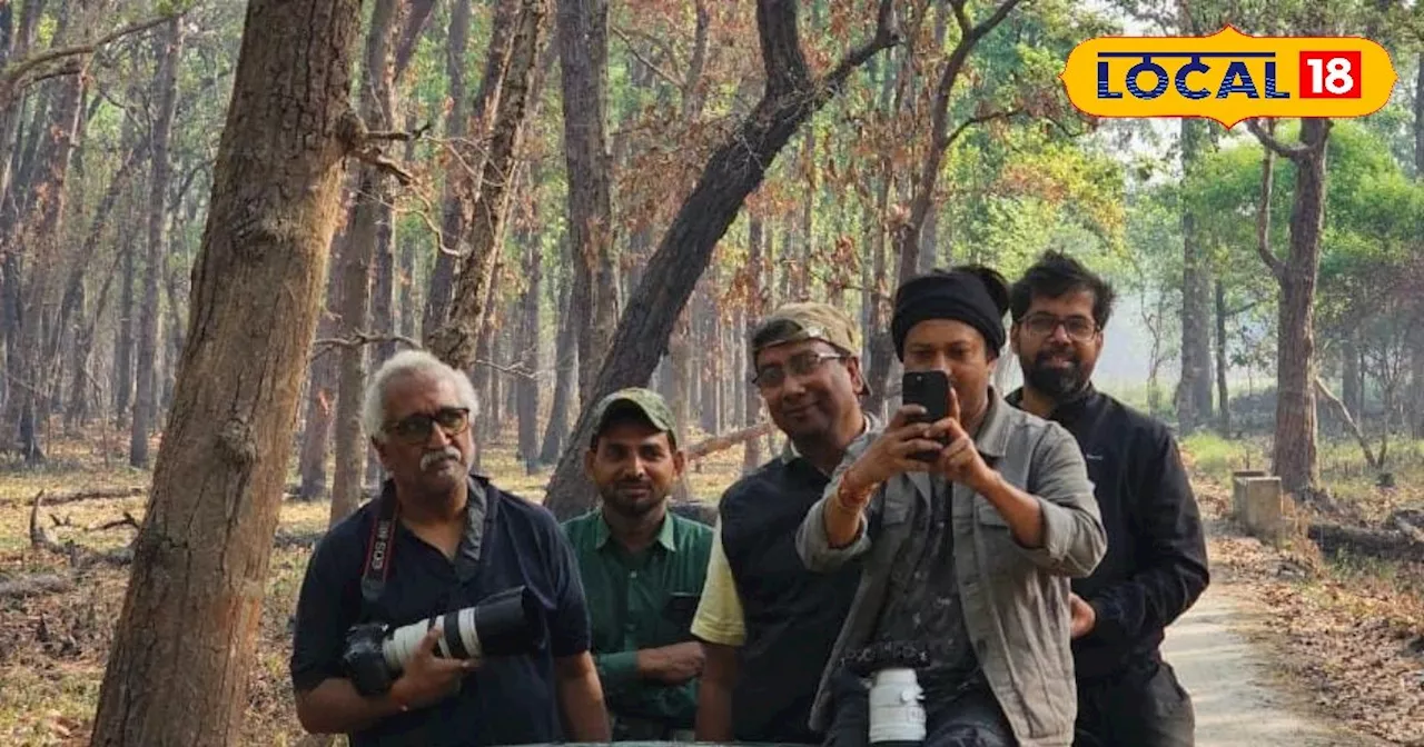 Pilibhit Tiger Reserve New Spots: खत्म हुआ तराई के बाघों के दीदार का इंतजार, नए पर्यटन सत्र का आगाज