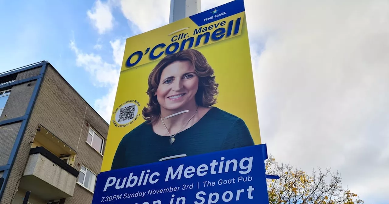 Dún Laoghaire-Rathdown County Council investigating three ‘illegal election poster’ complaints