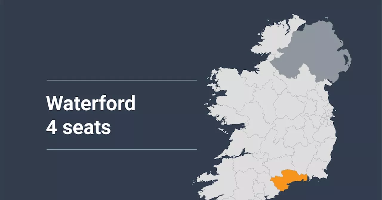 Waterford constituency profile: Fine Gael will be gunning to retake a seat here