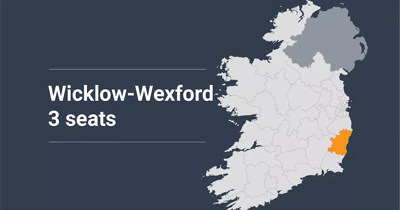 Wicklow-Wexford Election 2024 constituency profile: Creation of new constituency welcomed in its two major towns