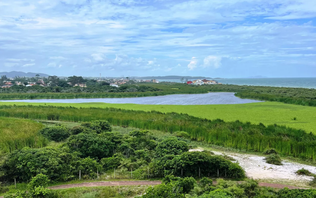 Denúncia Ambiental: Mortalidade de peixes e poluição levam ao pedido de fechamento imediato da área