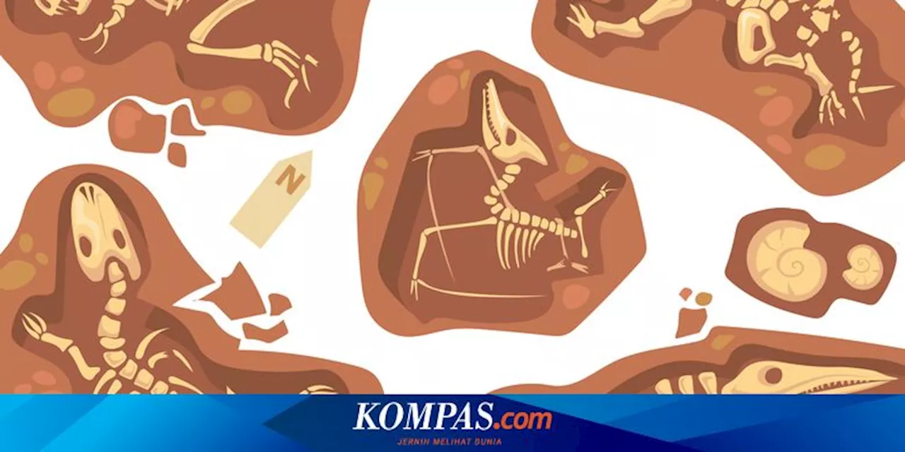 Bukan karena Bencana Vulkanik, Dinosaurus 'Pompeii China' Ternyata Mati dalam Damai