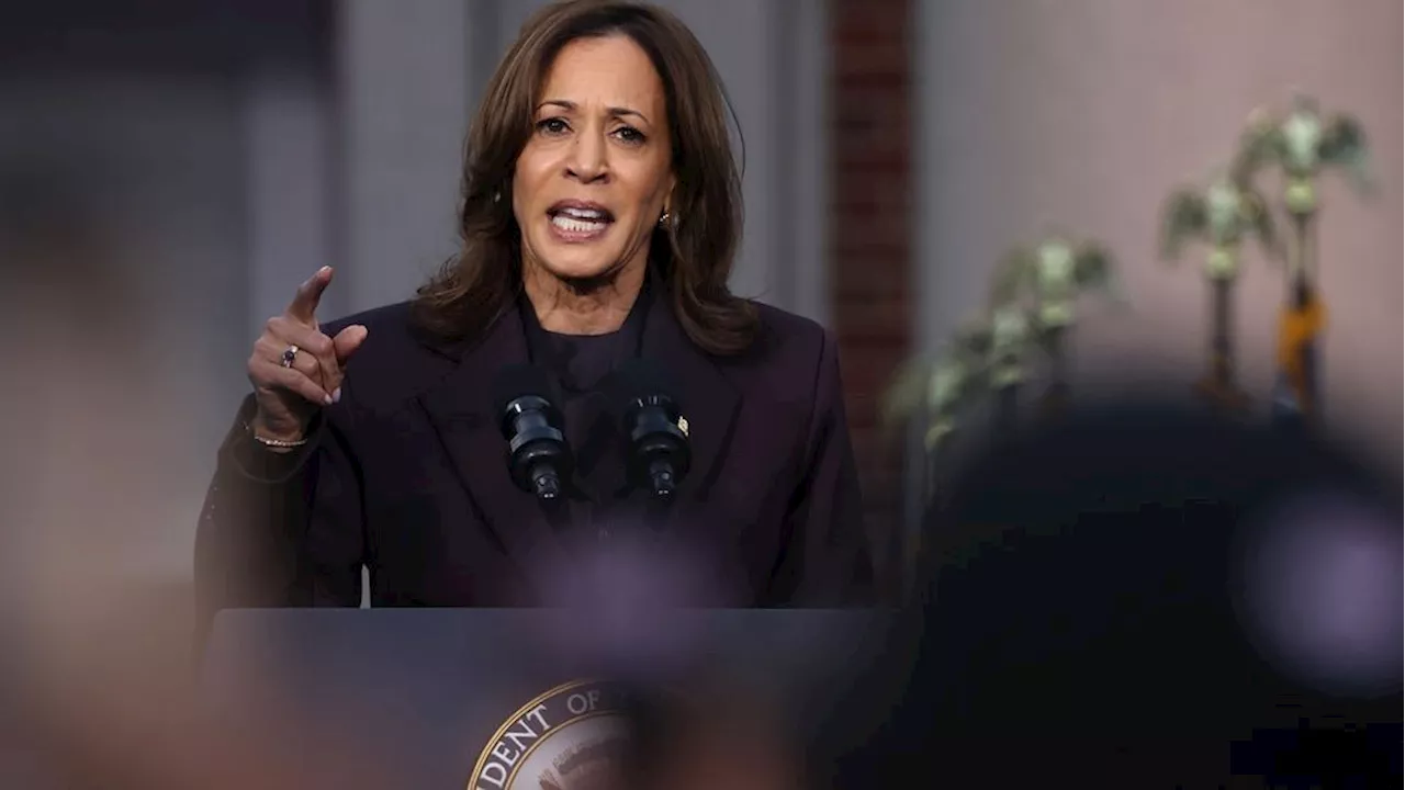 Harris supporters' conspiracy theories about election integrity earn millions of views