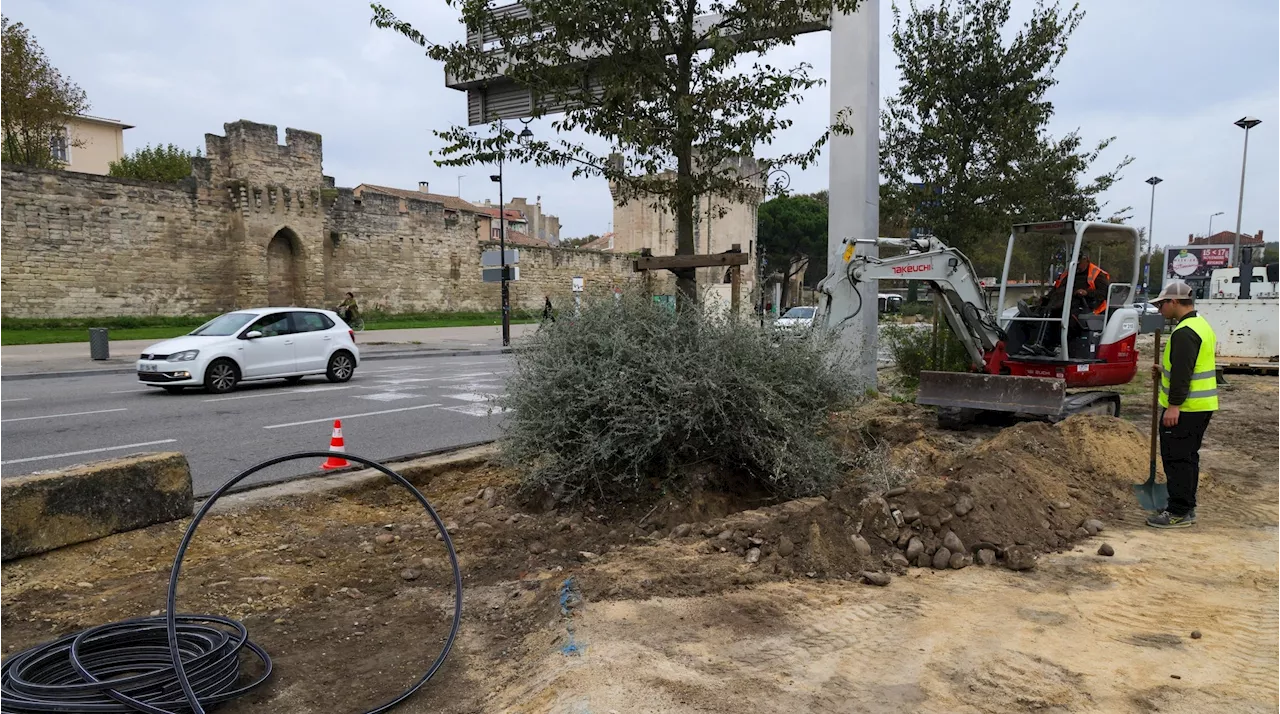 À Avignon, l’îlot Saint-Lazare reprend des couleurs grâce aux travaux et aux plantations