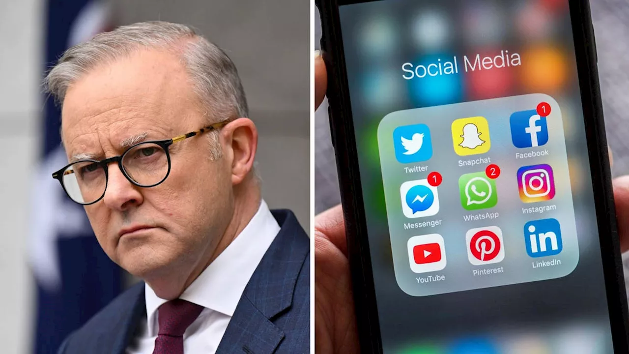 Australia proposes 'world-leading' ban on social media for children under 16