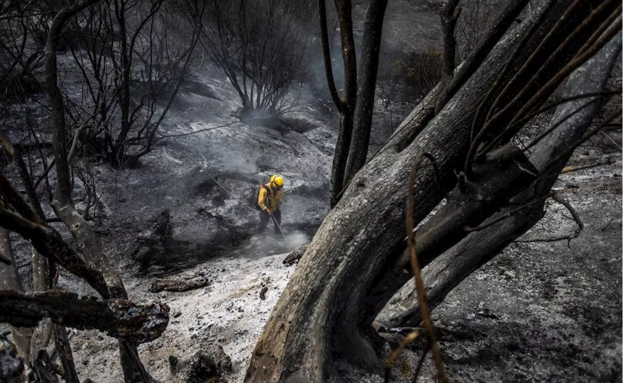 États-Unis : un feu de forêt incontrôlable ravage le nord-ouest de Los Angeles