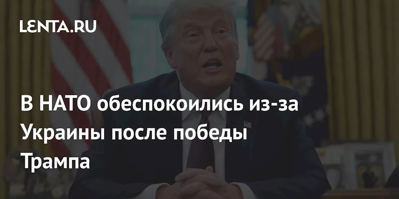 В НАТО обеспокоились из-за Украины после победы Трампа