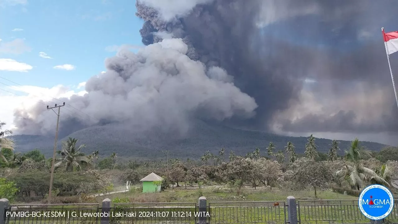 Gunung Lewotobi Laki-Laki Meletus Lagi, Tinggi Kolom Abu Capai 5.000 Meter