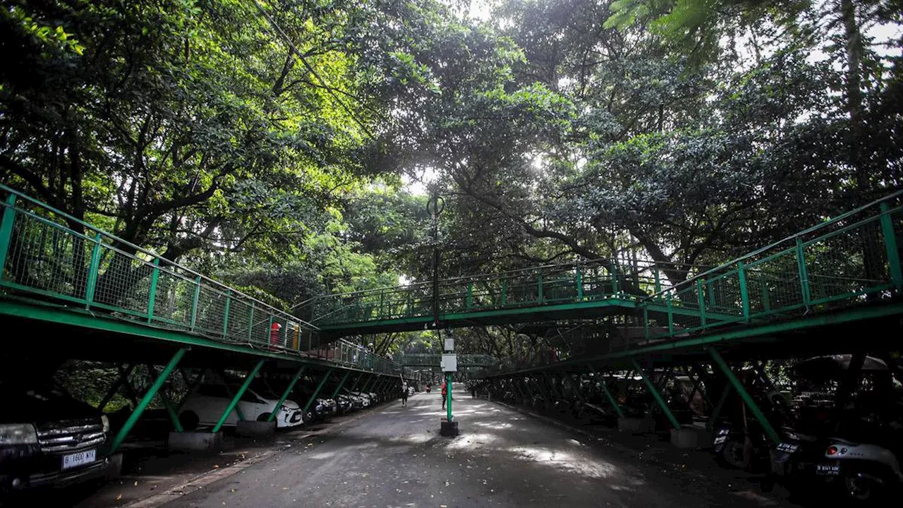 Nikmati Sensasi Jogging Alami dan Segar, Simak Lokasinya Mudah Diakses dari Stasiun Bandung