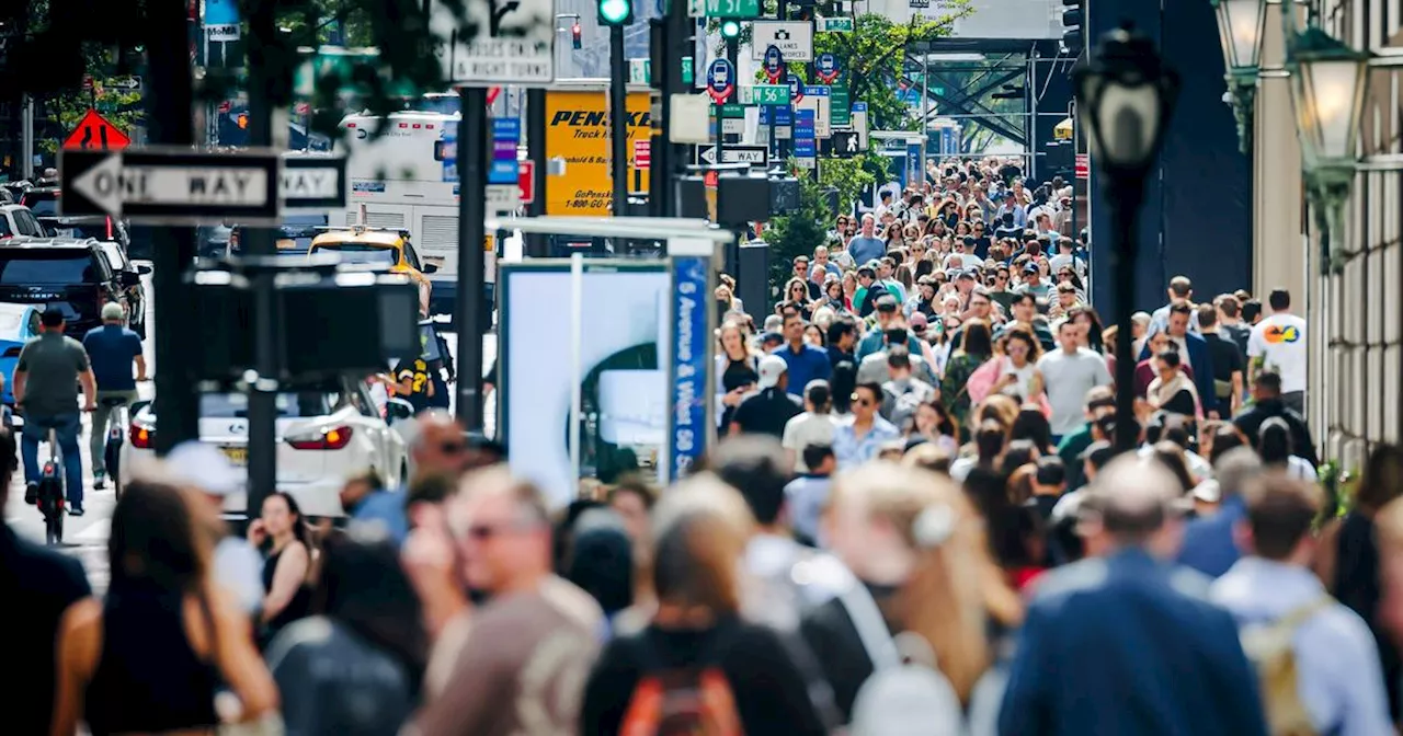 «Ce que les Américains ont encore en commun ? Le fast food, la culture people et une approche de la vie en roue libre»