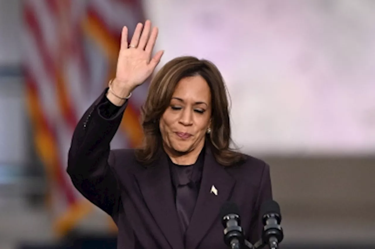 Don deal: Markets rally as Harris concedes to Trump, pledges to keep fighting in defiant speech