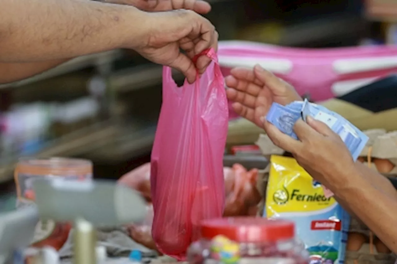 Natural Resources Ministry: Malaysia moves closer to single-use plastic bag ban by 2026, engages states on roadmap