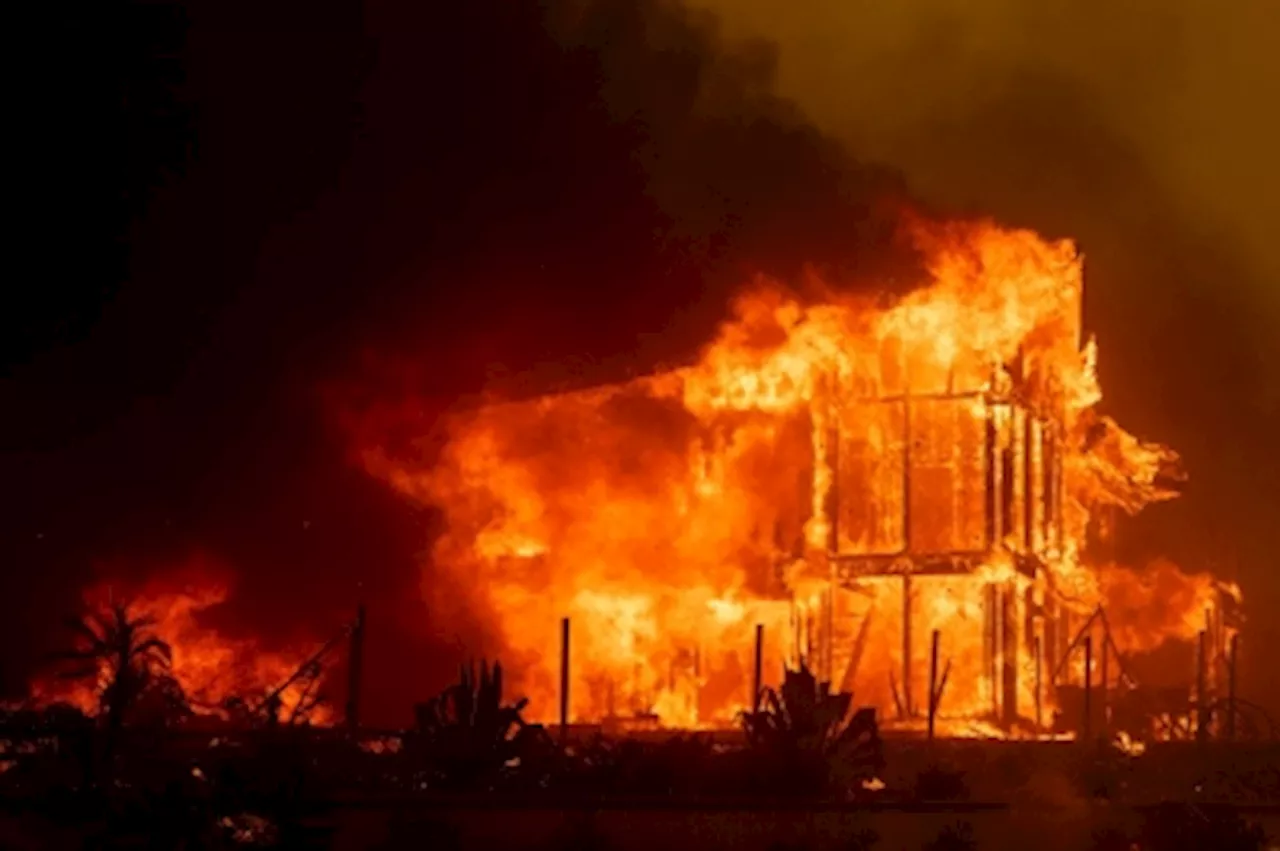 Thousands flee as hurricane-force winds drive ‘dangerously fast’ wildfire through Los Angeles suburbs