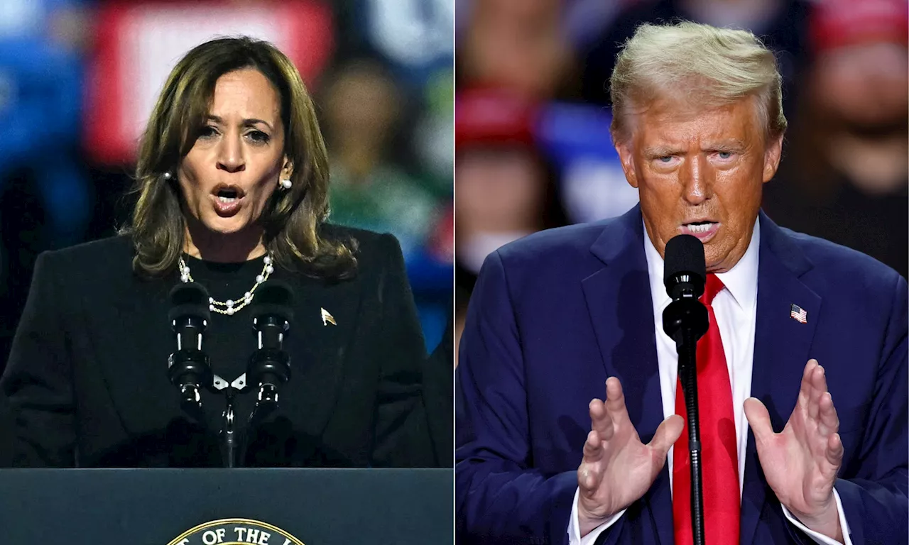 Trump-Harris : 'Le scrutin ne sera pas plus déterminant que les autres... seule la surenchère verbale est historique'