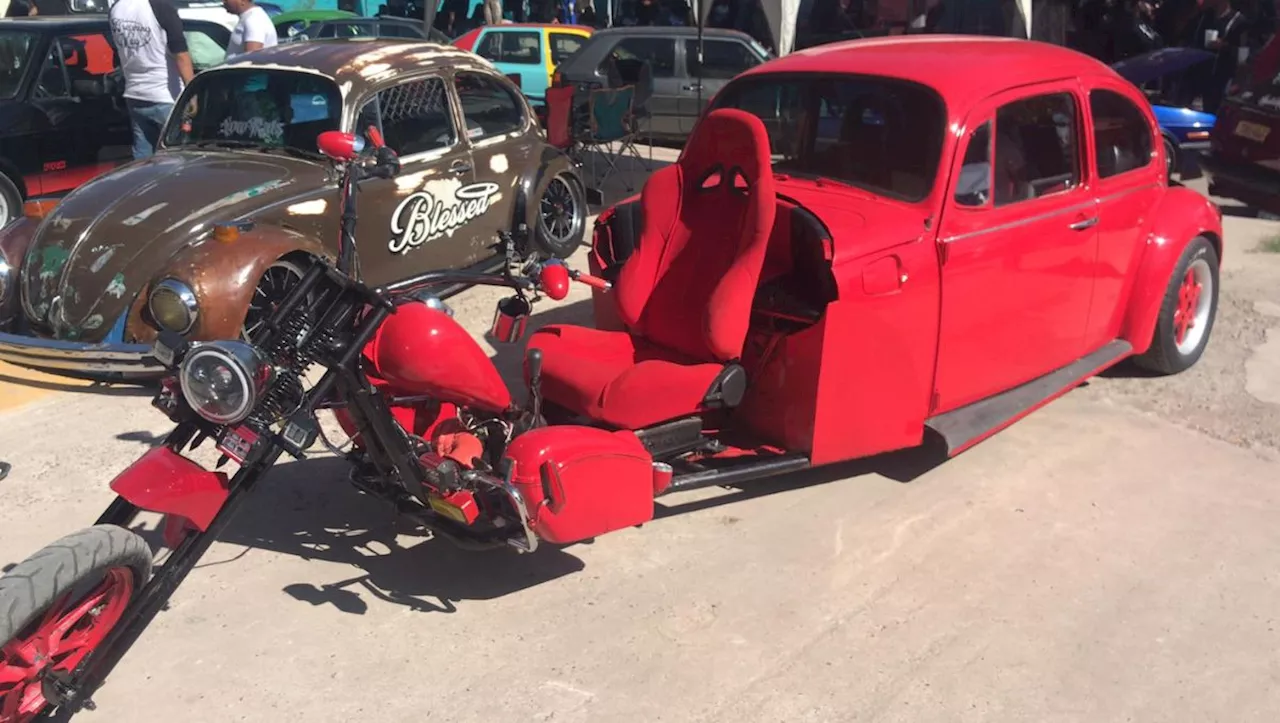 Exhibirán mejores vochos a nivel nacional en 'Bug Laguna Fest 2024' en Torreón