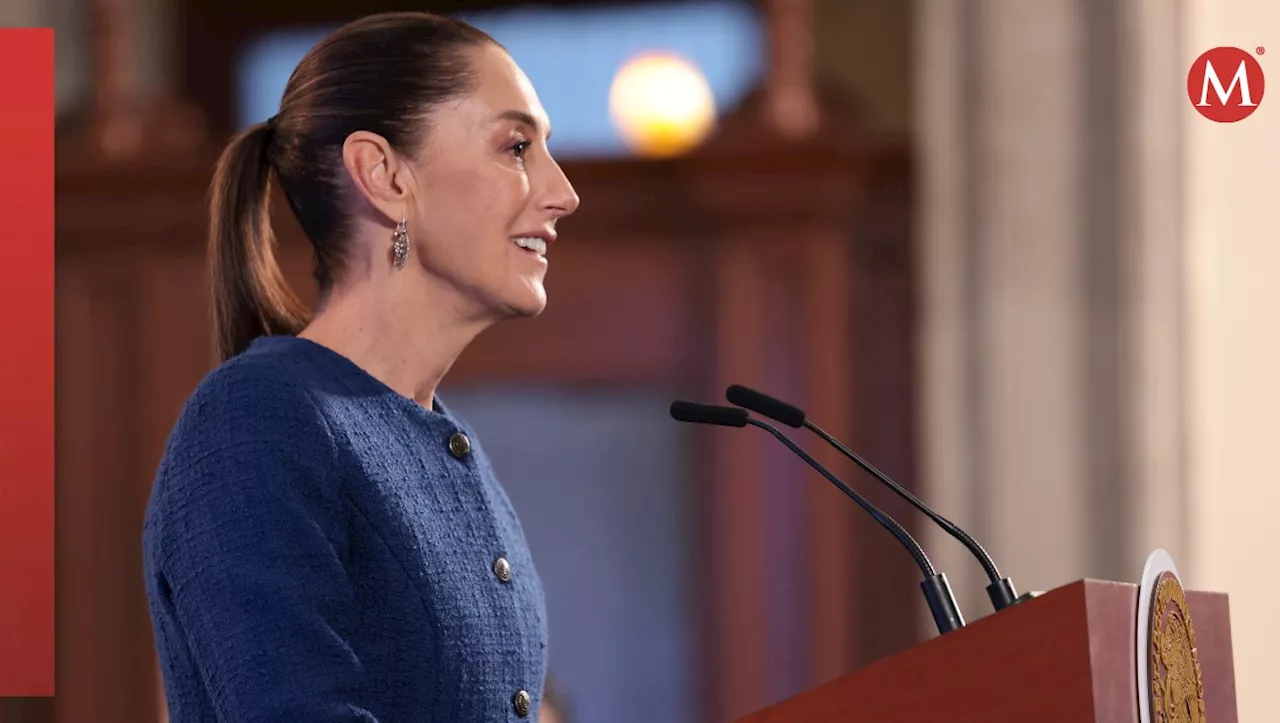 Sheinbaum planteó a Larry Fink polos de bienestar durante reunión en Palacio Nacional