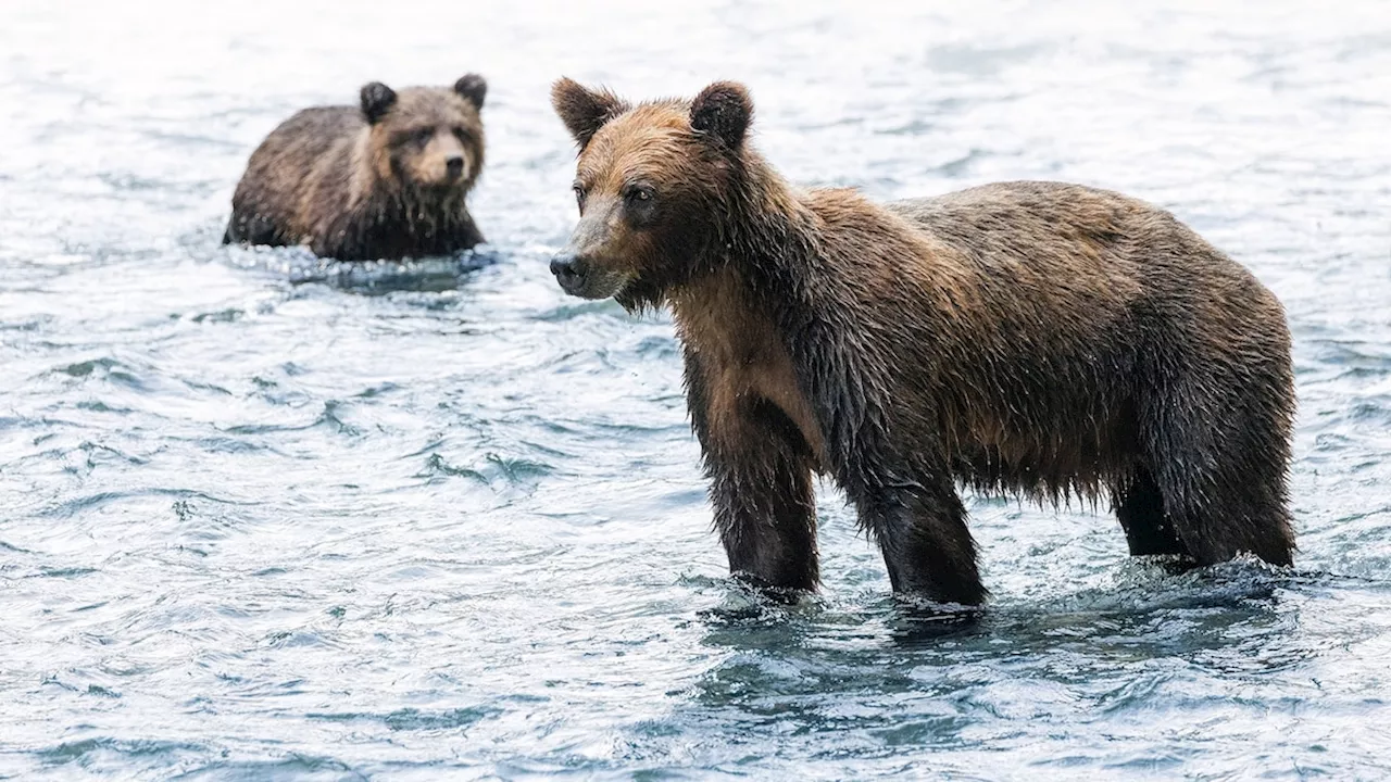 5 autumnal adventures in Campbell River, Canada