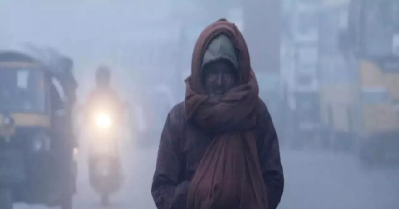 Severe Cold: कब से दस्तक देगी कड़ाके की ठंड? मौसम विभाग ने जारी किया अलर्ट, तापमान में होगा बदलाव