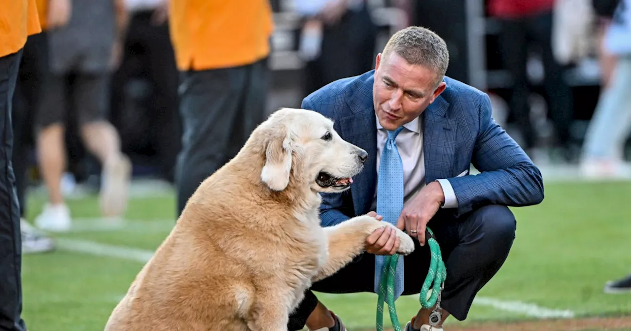 Kirk Herbstreit announces the death of his dog Ben, beloved for crashing football broadcasts