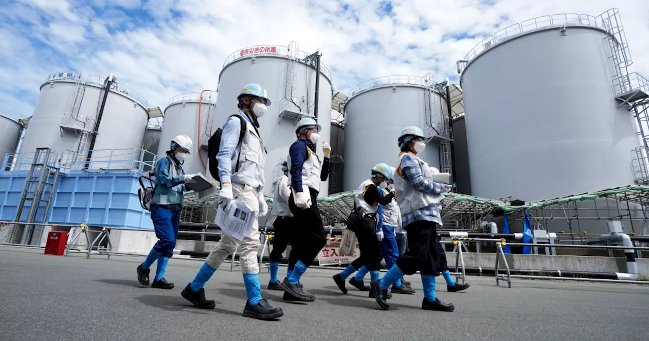 Tiny grain of nuclear fuel pulled from ruined Japanese nuclear plant in a step toward cleanup