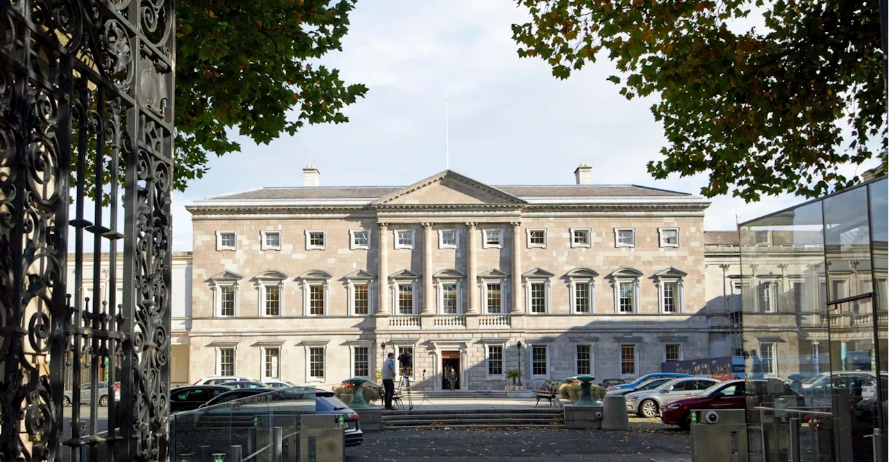 'Game on for election 2024' - 33rd Dáil sits for the final time today