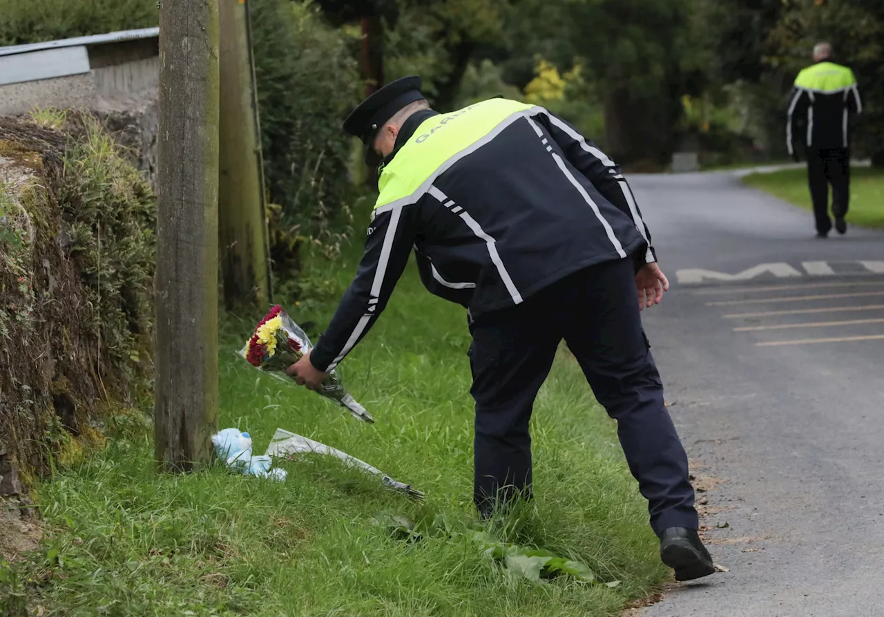 National Slow Down Day: Gardaí remind drivers that speed kills