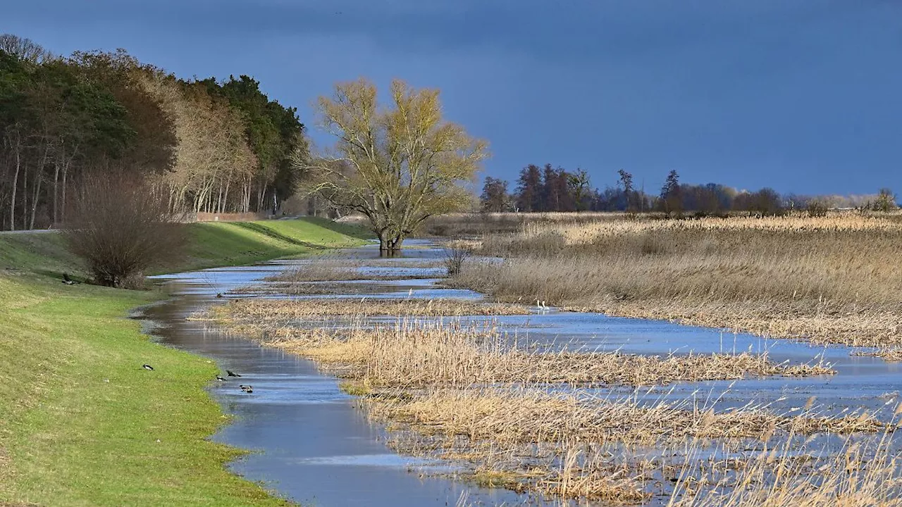 Berlin & Brandenburg: Hochwasserschutz an Oder in der Uckermark wird verbessert