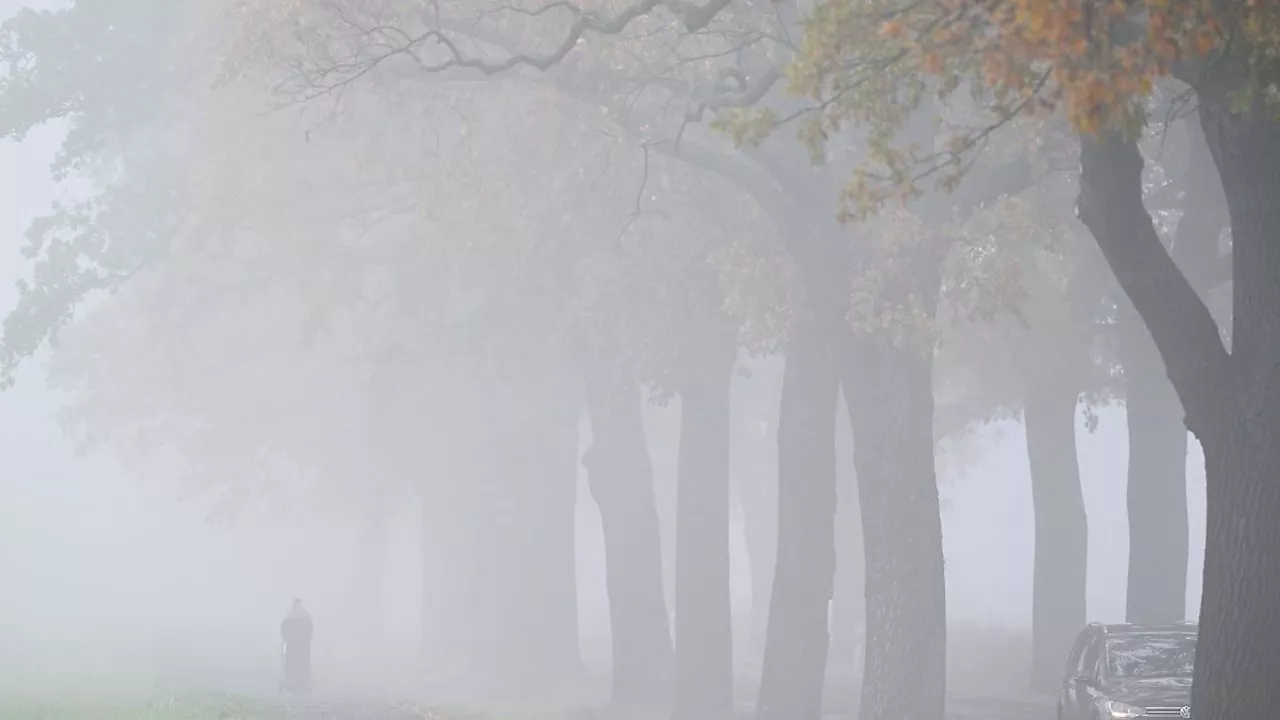 Hamburg & Schleswig-Holstein: Neblig-trübes Herbstwetter in Hamburg und Schleswig-Holstein