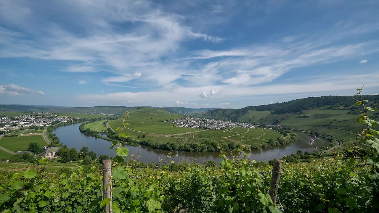 Rheinland-Pfalz & Saarland: Ministerin Schmitt: Rekordsumme für Tourismusförderung