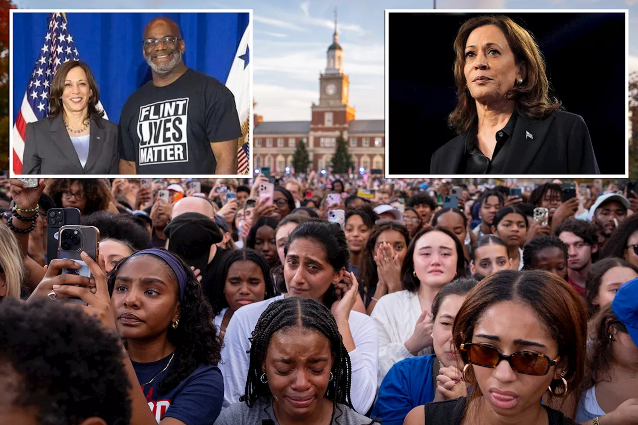  Michigan Dem activist rips Harris for not focusing on black voters — relying on 'fake civil rights leaders' and 'corrupt officials'