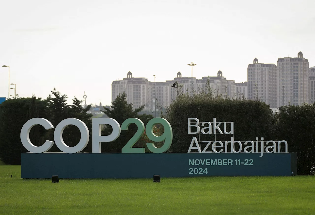 COP29: What are the key issues at the UN climate summit in Baku?