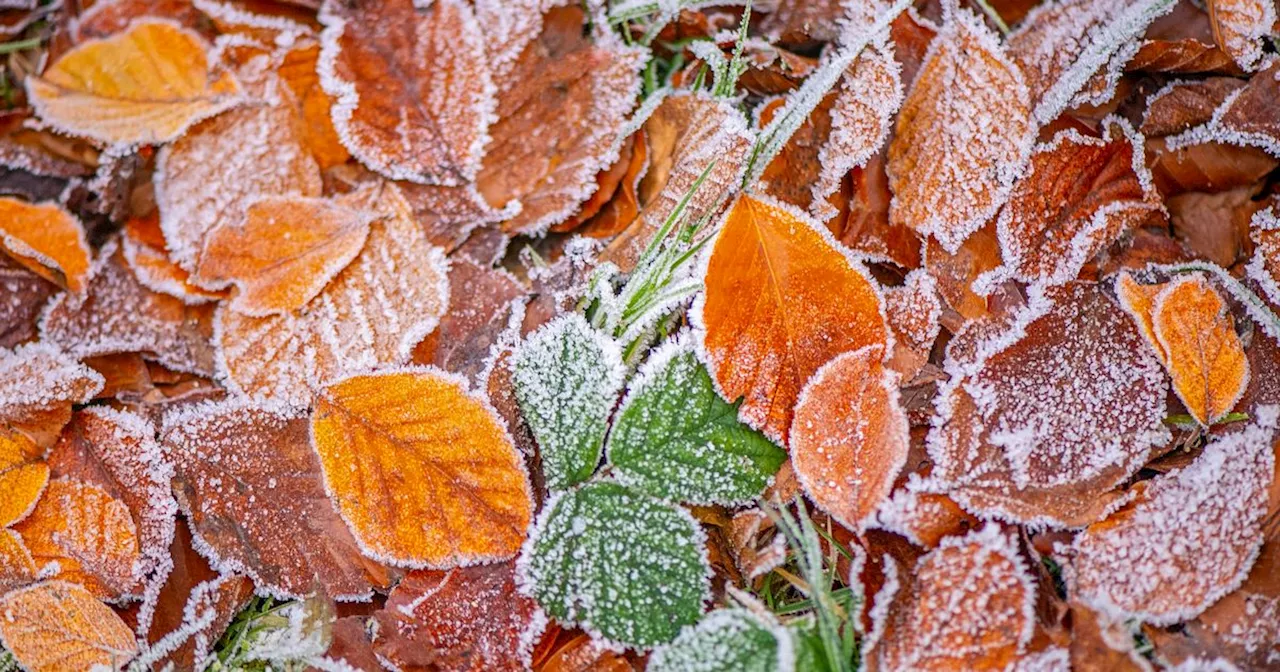 Met Eireann confirms the day temperatures will plunge to frosty chill