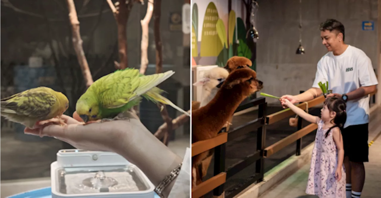 Escape The Heat & Spend Time With Animals At The Largest Indoor Petting Zoo In M'sia