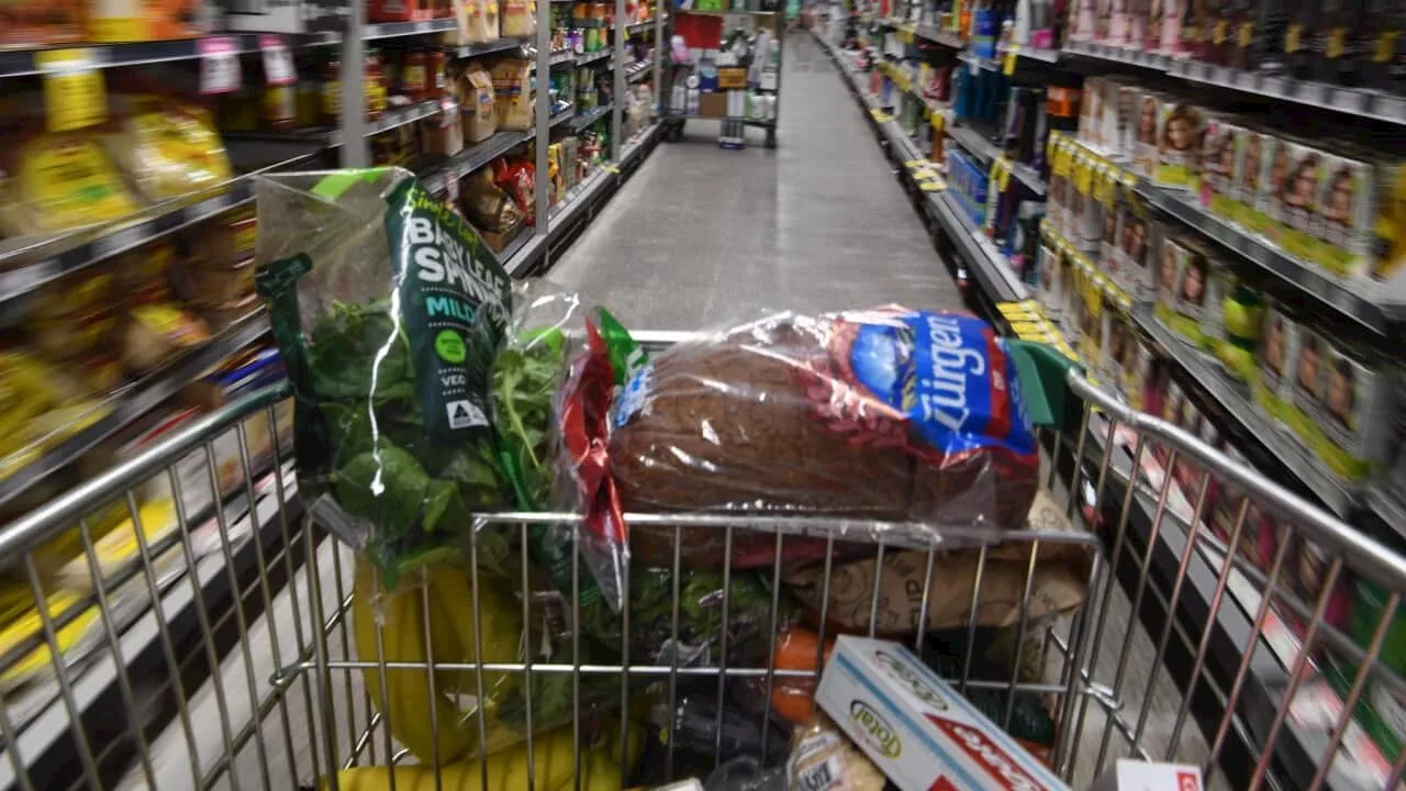 Pricing and profits under scrutiny at inquiry into Australia's major supermarkets