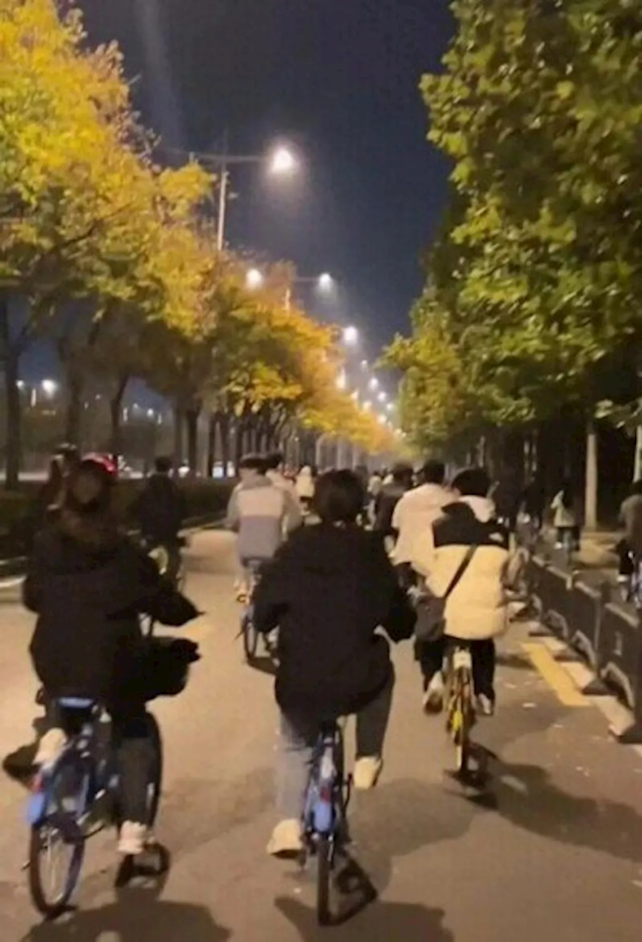 鄭州から開封へ自転車で50キロ爆走！「ナイトサイクリング」が大学生の間でブーム―中国（2024年11月8日）｜BIGLOBEニュース