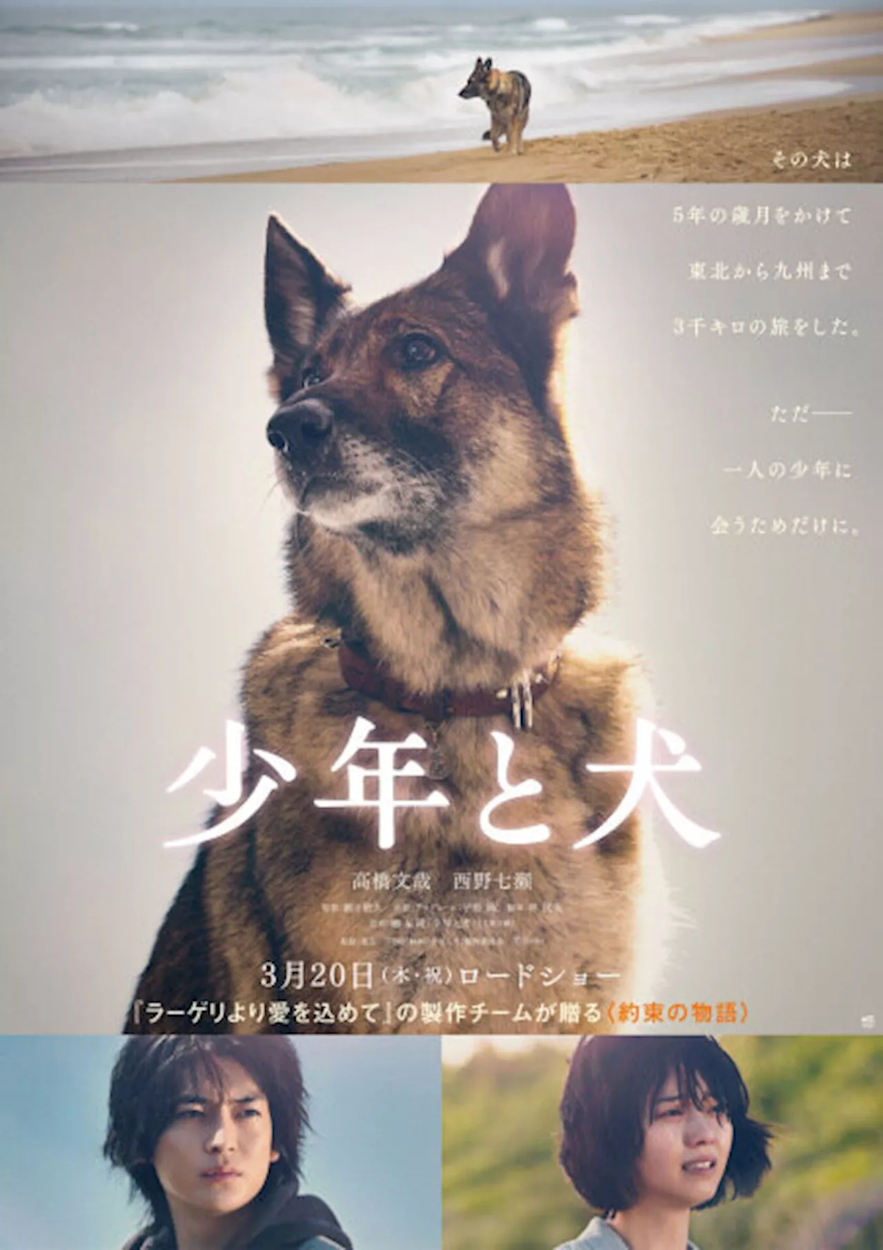 高橋文哉が叫び、西野七瀬が涙する 映画『少年と犬』公開日決定の特報映像＆新ビジュアル（2024年11月8日）｜BIGLOBEニュース