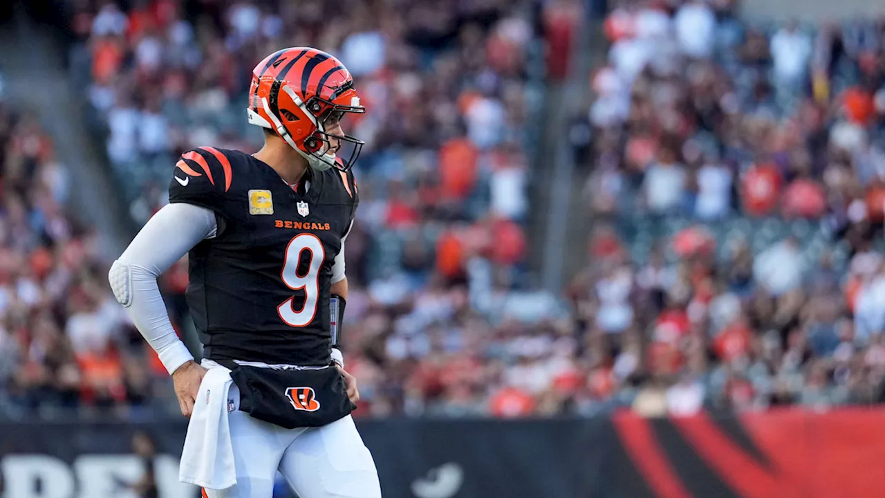 Former Bengals Quarterback Ryan Fitzpatrick: Joe Burrow is a 'Serial Killer