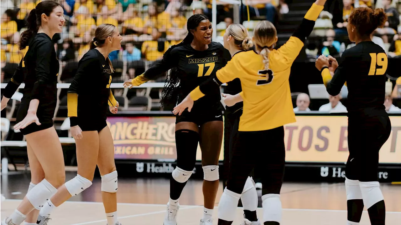 Mizzou Volleyball Records Eighth-Straight Win; The Buzz, Thursday, Nov. 7, 2024