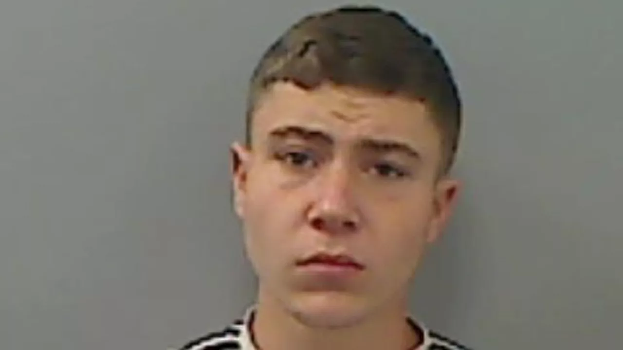 Dylan Willis: Teenager jailed for violent disorder in Middlesbrough released on suspended sentence after appeal