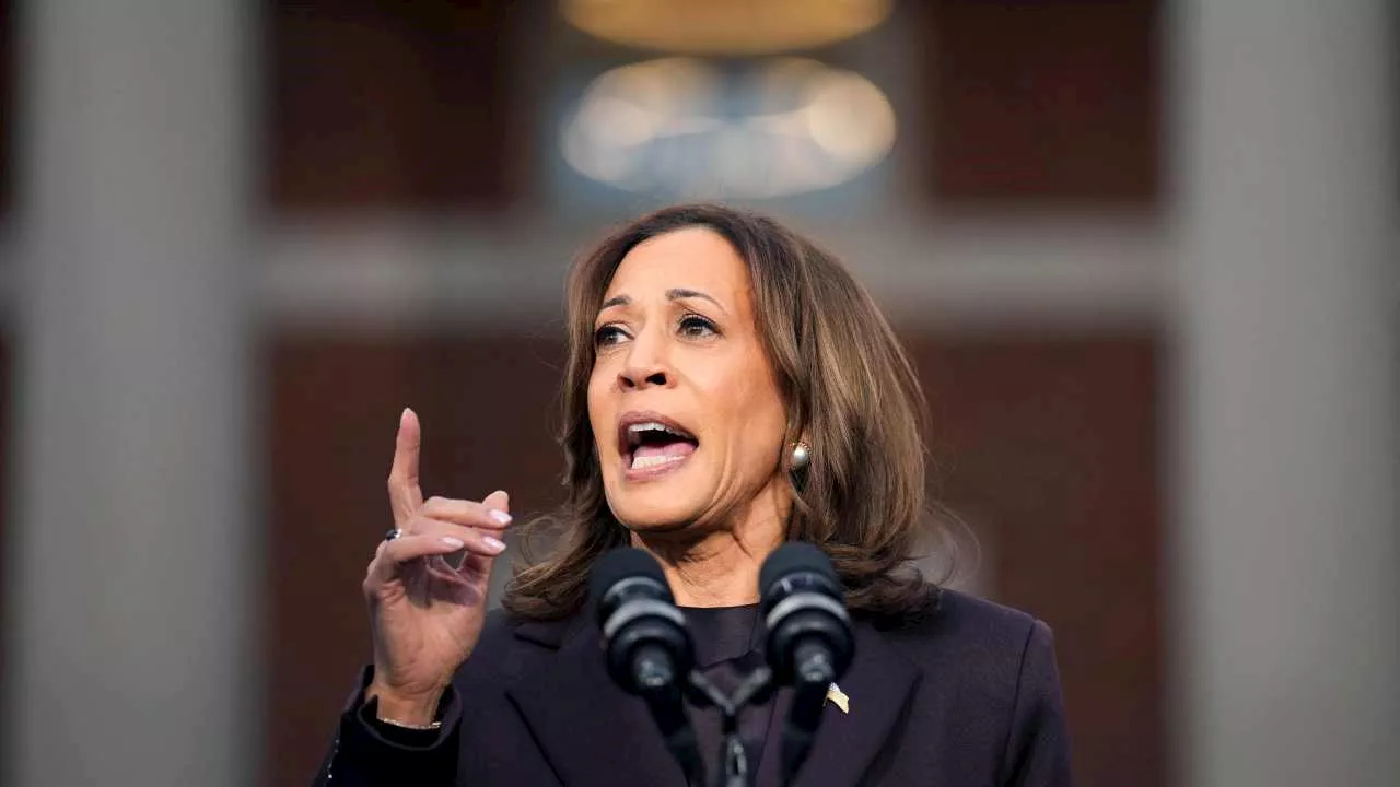 ‘Extremist’ Kamala Harris should never have been given the Democrat nomination