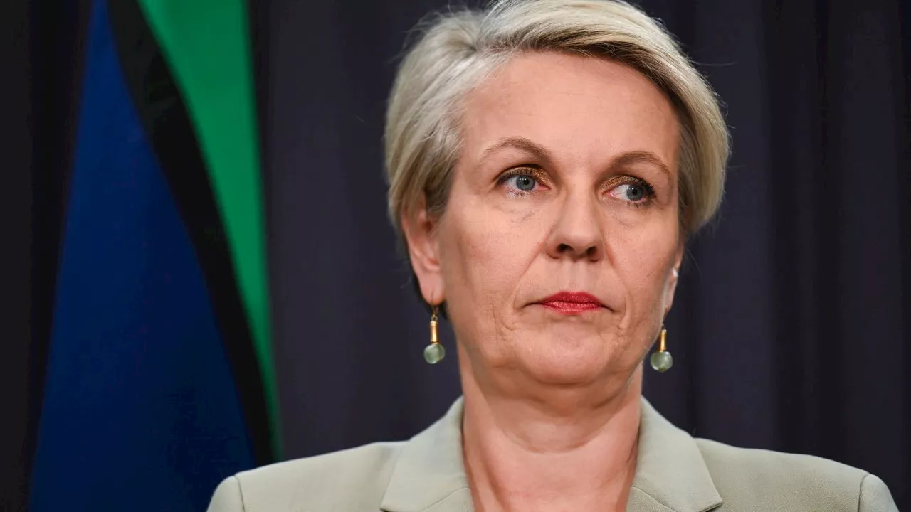 Tanya Plibersek’s gold mine ban to be challenged in Federal Court