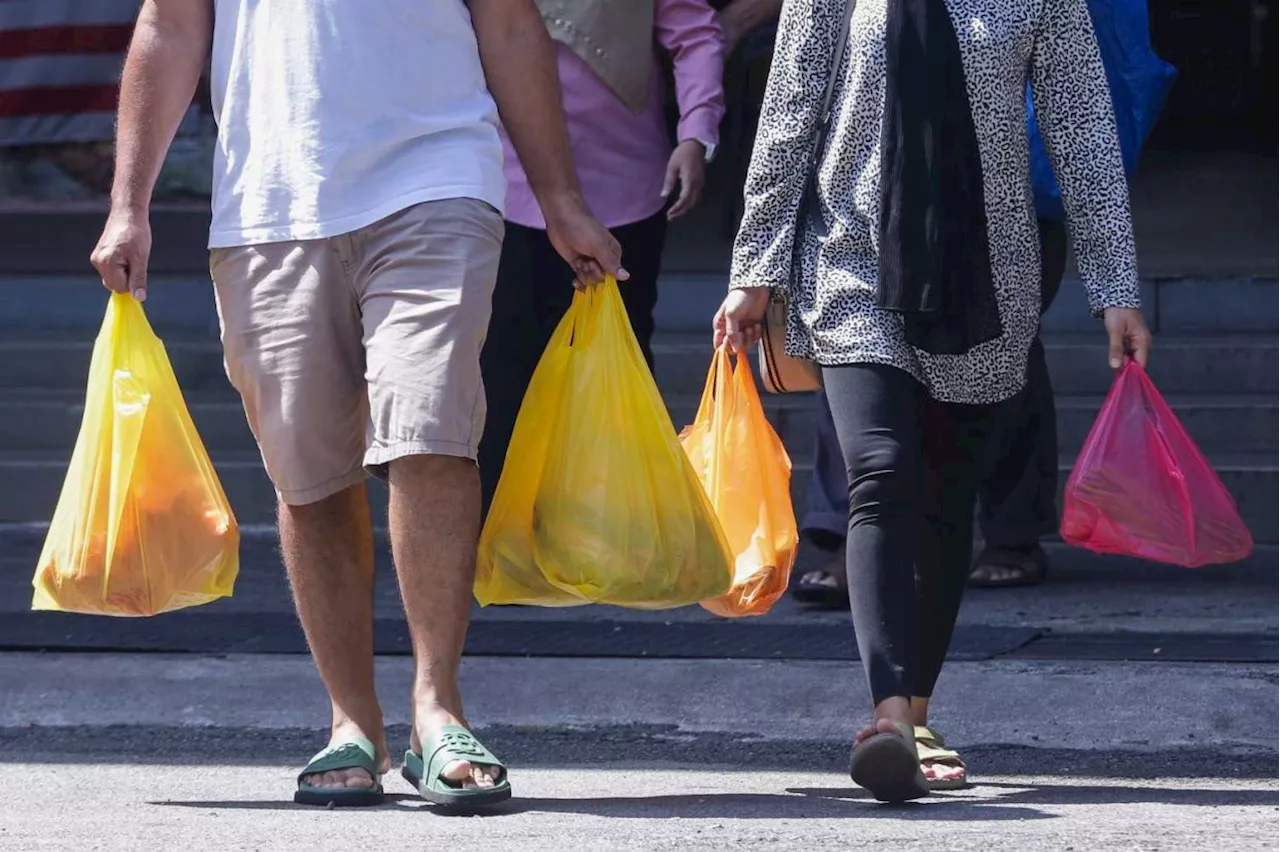 Govt mulls nationwide ban on single-use plastic bags by 2026