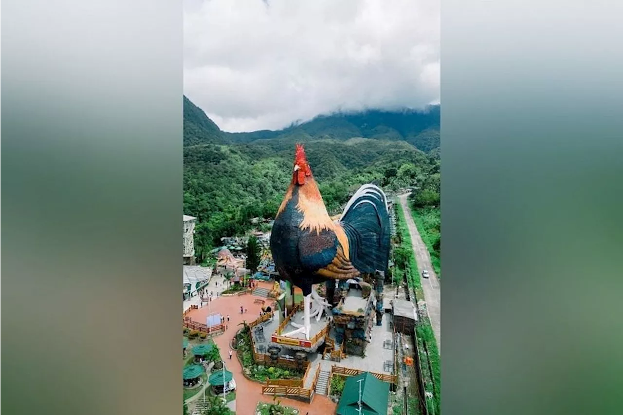 Philippine hotel named biggest chicken-shaped building in the world in Guinness records