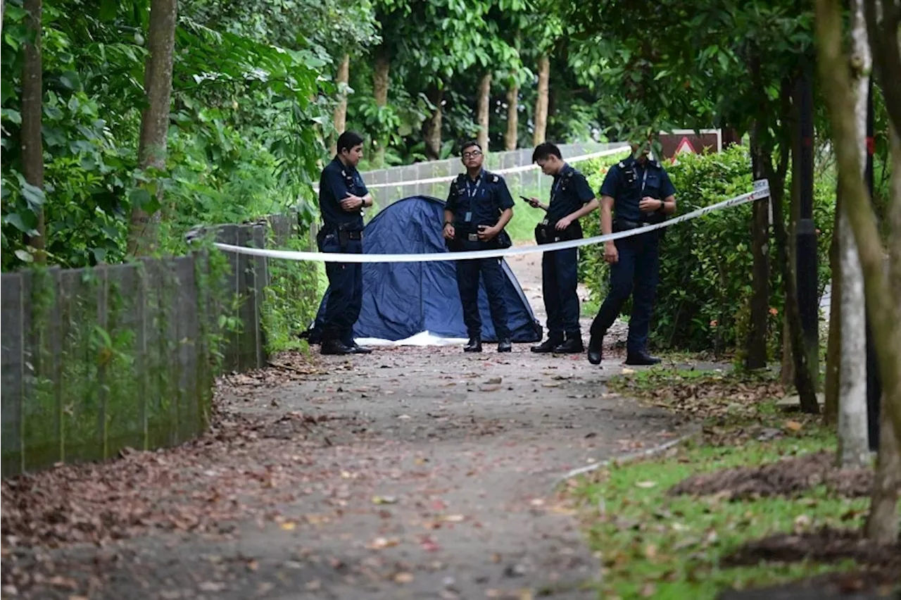 Body retrieved from waters near Woodlands jetty after reports of man falling overboard