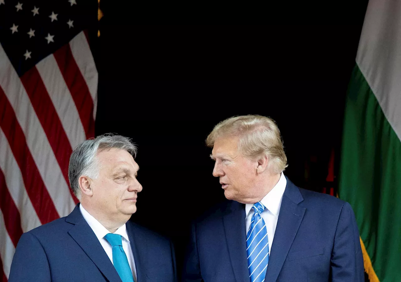 Trump und die EU: In Europa geht die Angst um, in Budapest knallen die Korken