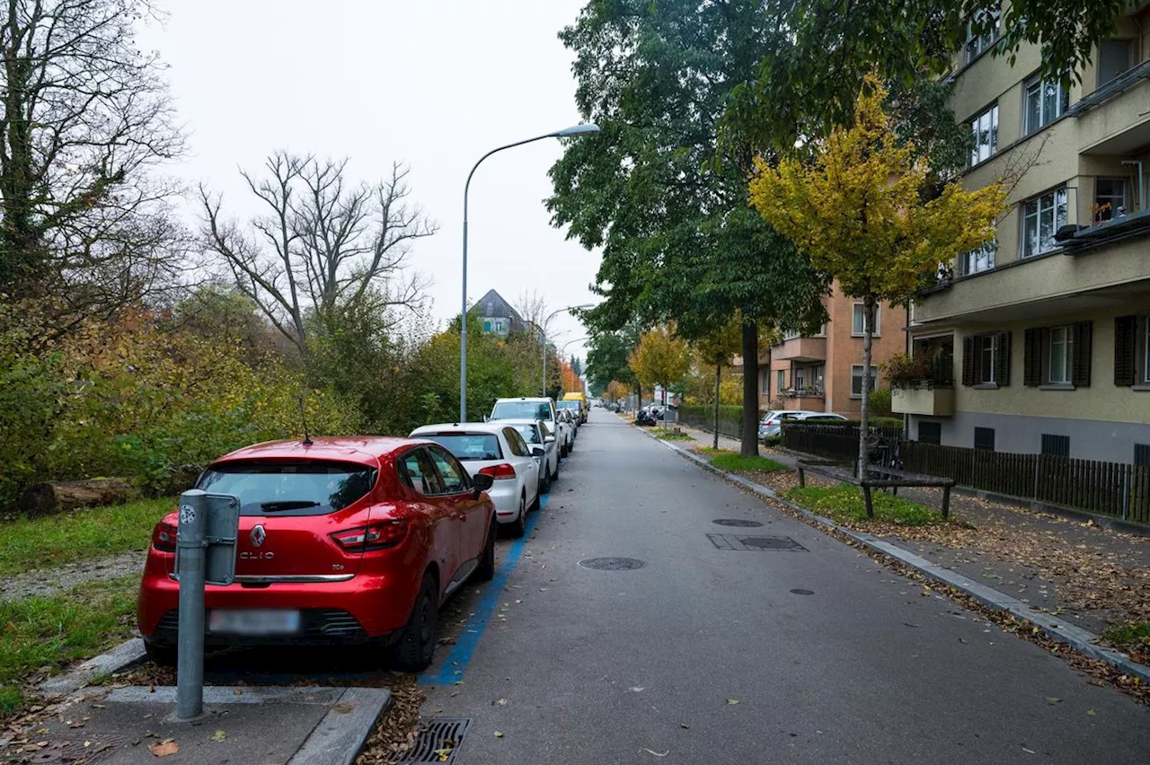 Zürich: Filippo Leutenegger geht gegen Begegnungszone der Stadt vor