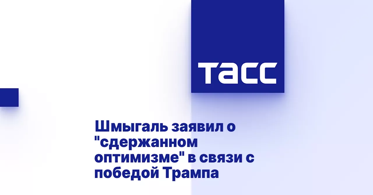 Шмыгаль заявил о 'сдержанном оптимизме' в связи с победой Трампа