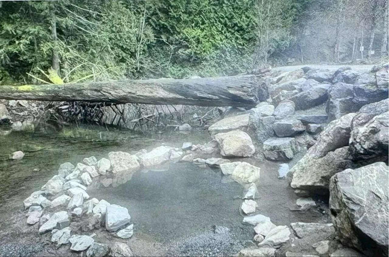 Who ruined Hobo Hot Springs? B.C investigates Harrison mystery