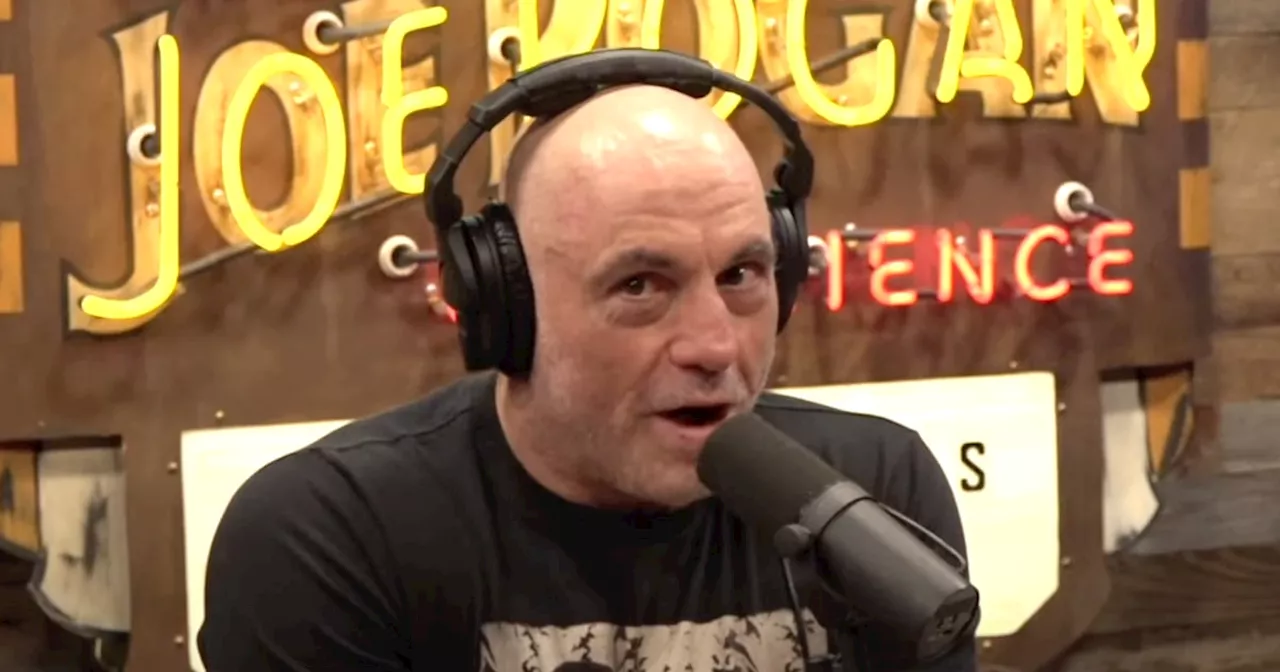 Joe Rogan Shocked Trump Won: ‘Turns Out Voting Works’